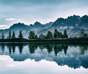 baume berge hd wallpaper 459225 baume berge hd wallpaper 459225
